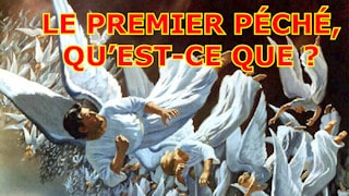 Sétimo Dia Le premier péché, qu’est-ce que c’est ?